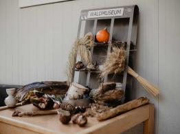 images/bilder/kindergarten/galerie-naturwerkstatt/Naturwerkstatt-25.jpg